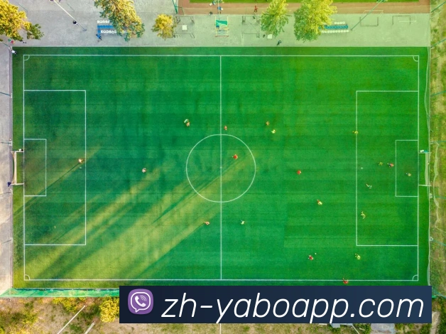 APP界面展示